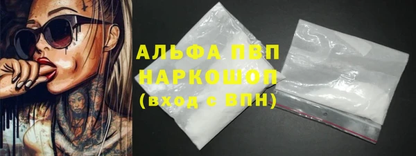трава Ессентукская